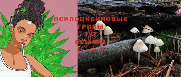 прущая мука Армянск
