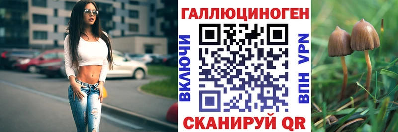KRAKEN как зайти  Кохма  Галлюциногенные грибы Psilocybe 